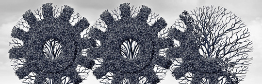 Jindal ITF Ltd. Photo